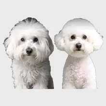 プロ用ペット美容ハサミ【曲がり刃・犬猫用・トイプードル・ビションフリーゼ対応】