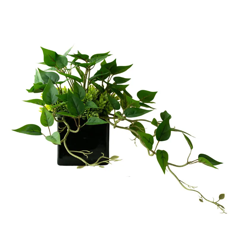 人工観葉植物を選ぶときに迷うのは、本当に「見た目」だけなのか？