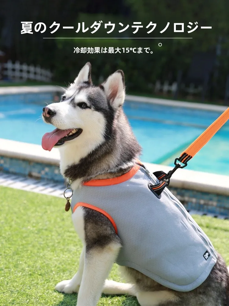 おうち時間を豊かにするおすすめアイテム | 犬の暑さ対策ベストを徹底解説