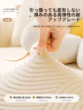 猫の爪から守る！全包型ソファカバー【万能タイプ・四季対応】