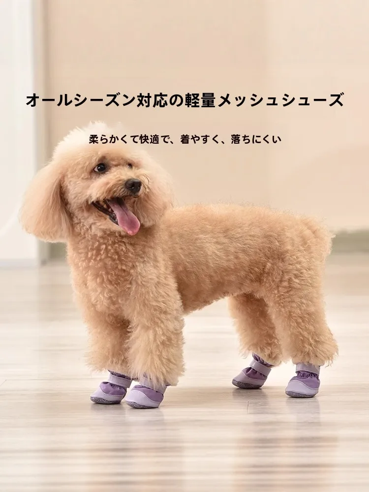犬のお散歩グッズをコスパ良く揃える方法｜滑りにくいソールと柔らかさの実用性徹底解説