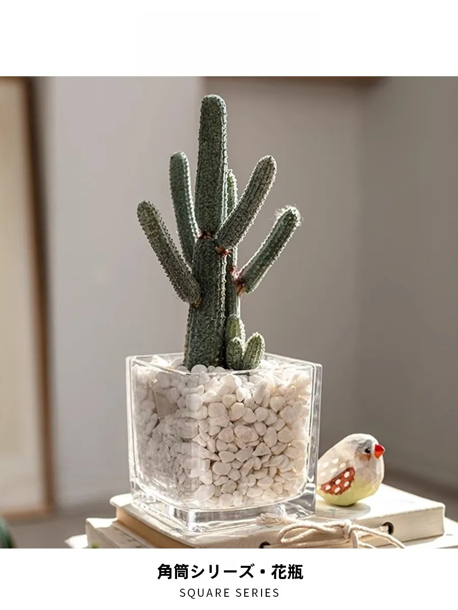 EKU PRO 角型水培花器：100均観葉植物水耕栽培の透明ガラス容器としての実用性と設置場所選定