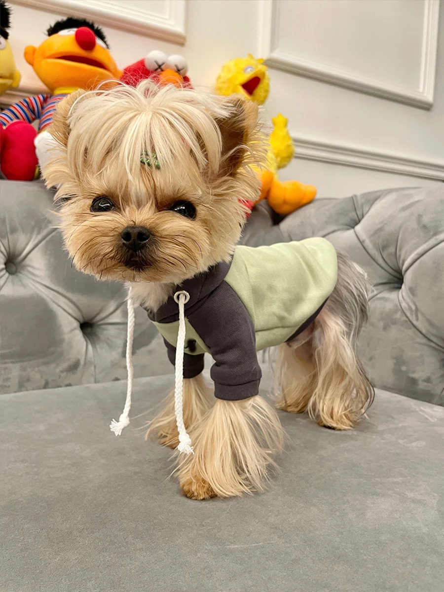 ハーネス付き犬服の選び方：小甜粥マルチーズ・ヨークシャーテリア用フード付きウェア