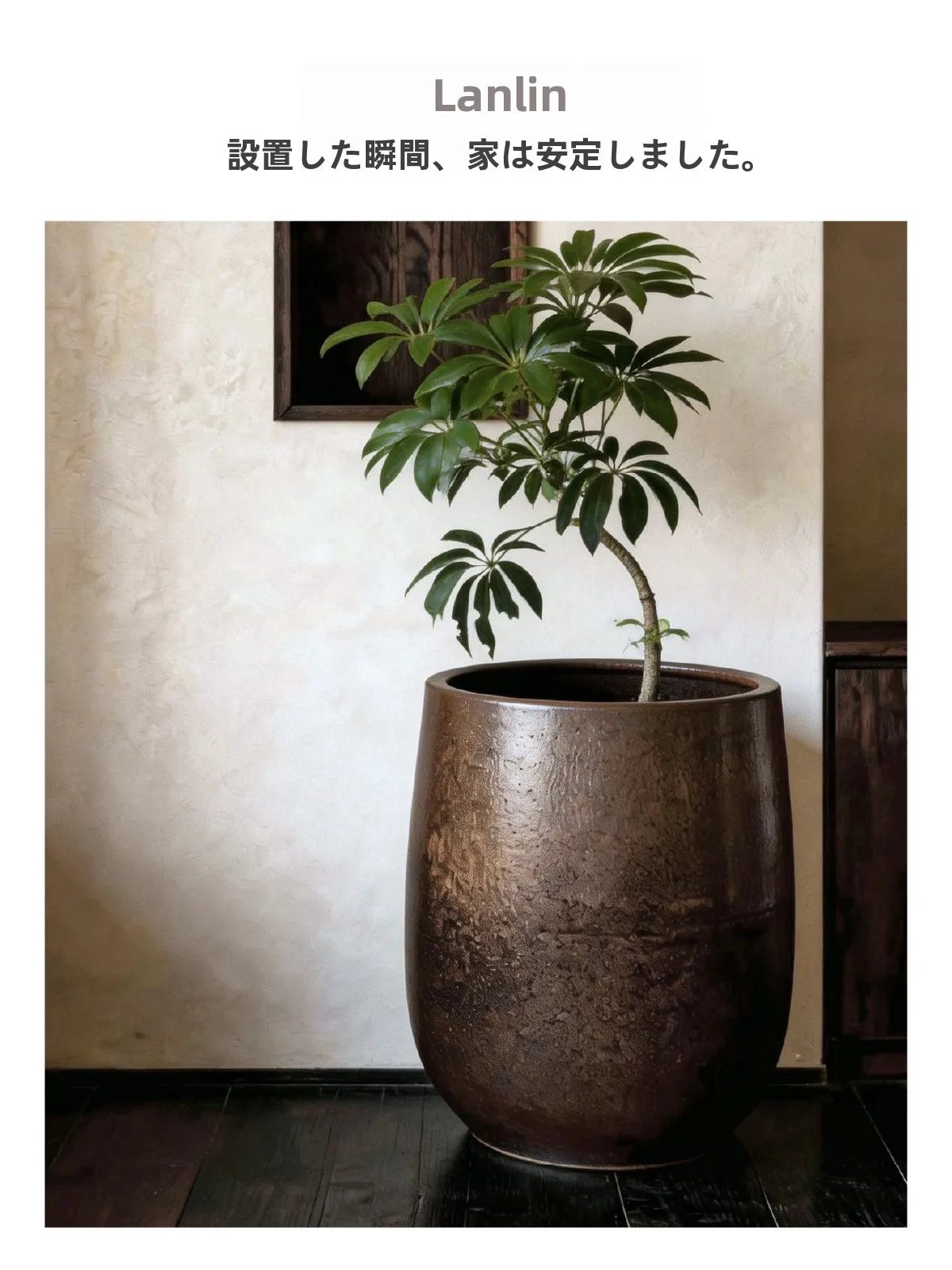植木鉢を「おしゃれ」に選ぶには？陶器の魅力と、プラスチックとの違いを徹底解説