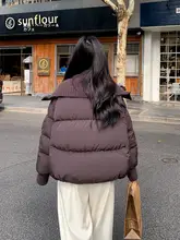 コーヒー色のダウンジャケット【白鹅绒・ダッカラップ・女性用・冬用・厚手・ショート丈】