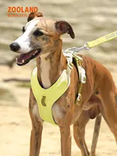 犬用 ハーネスリード【小中大型犬対応・首を締めない工字型】