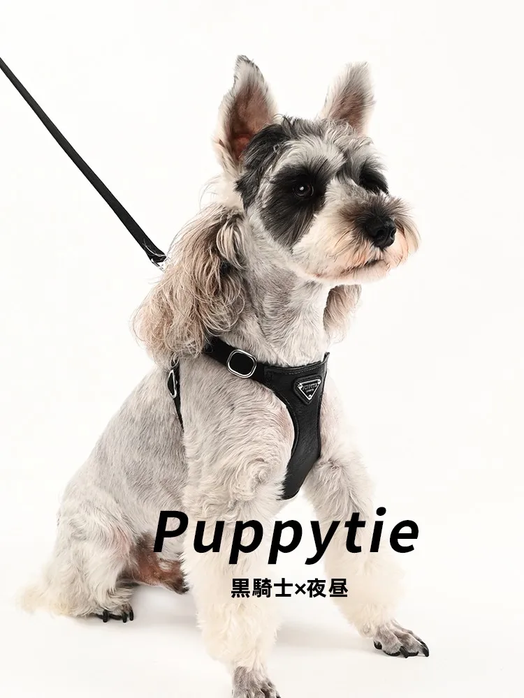 犬のお散歩グッズをコスパ良く揃える方法 | 調整可能なハーネスリードの選び方