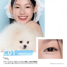 ダブルヘッド多機能メイクペン【ハイライト＆シェーディング・防水・女性用】