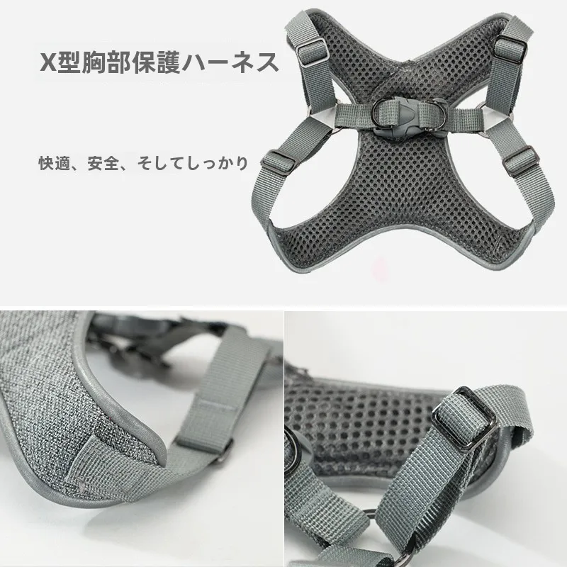 犬のお散歩グッズをコスパ良く揃える方法｜X型ハーネスの安全と実用性徹底解説