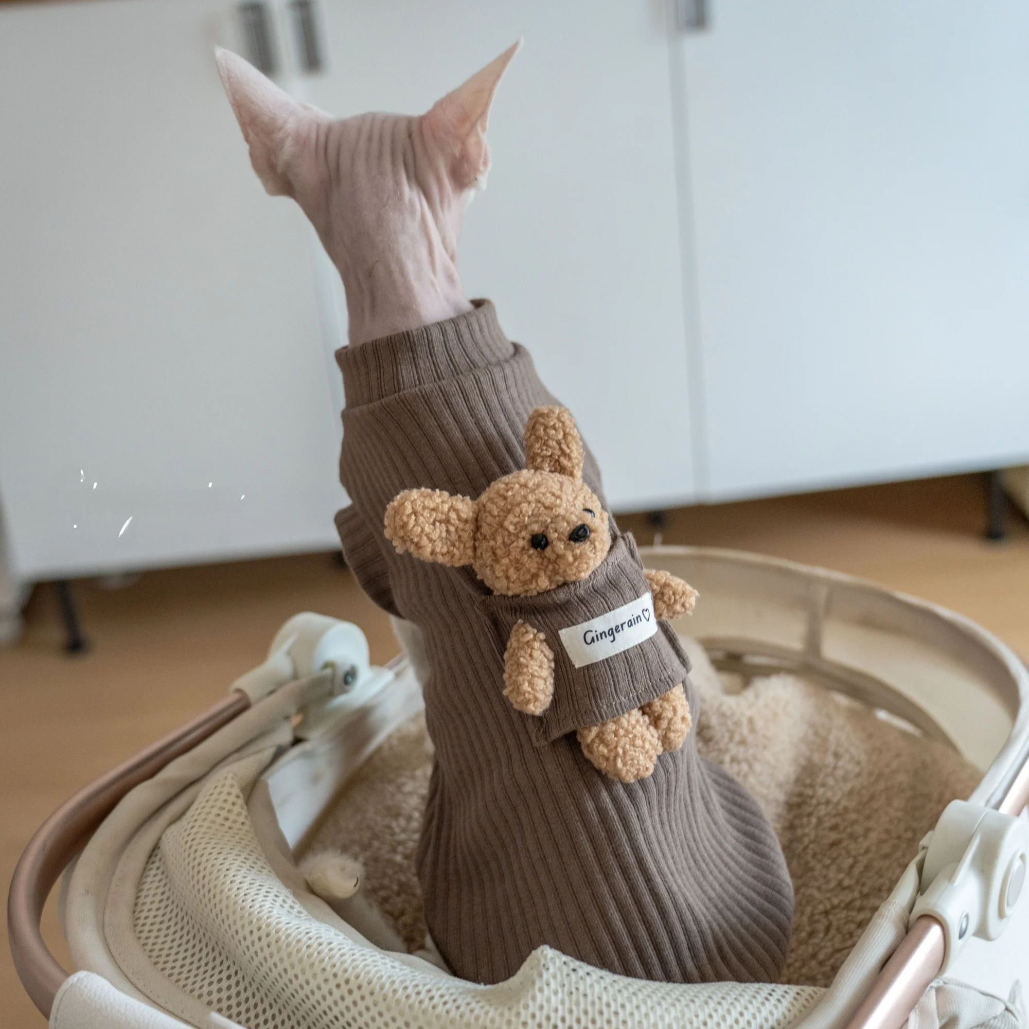 猫飼いが買ってよかったもの・悪かったもの正直に言う｜保温ベストの実測ガイド