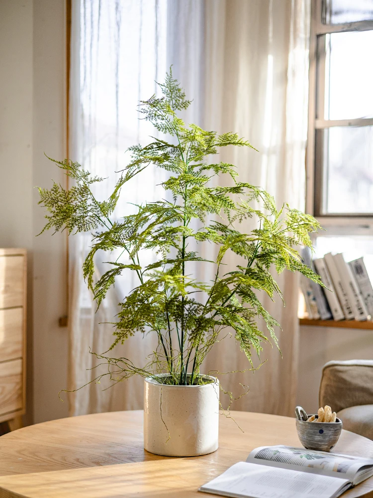 梅雨に備えて買うべき！疑似緑植盆景の選び方・効果徹底解説