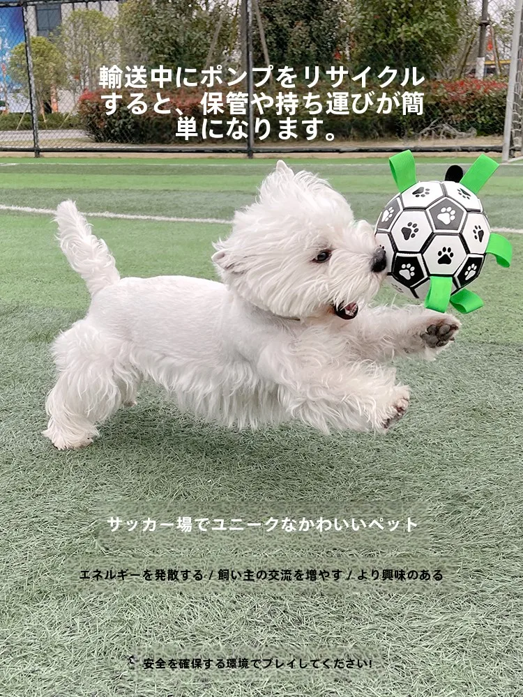 犬のお散歩グッズをコスパ良く揃える方法｜耐噛性とポンプ機能がポイントの完全ガイド
