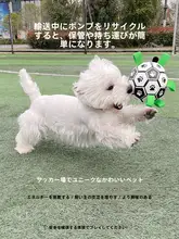 犬用サッカートイ【耐噛性・解消・小型犬向け・コーギー・テディベア】
