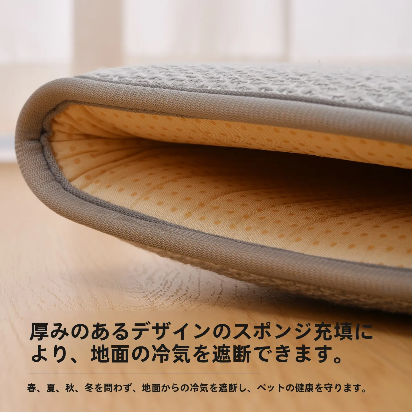 猫飼いが買ってよかったもの・悪かったもの正直に言う｜クッション選びの完全ガイド