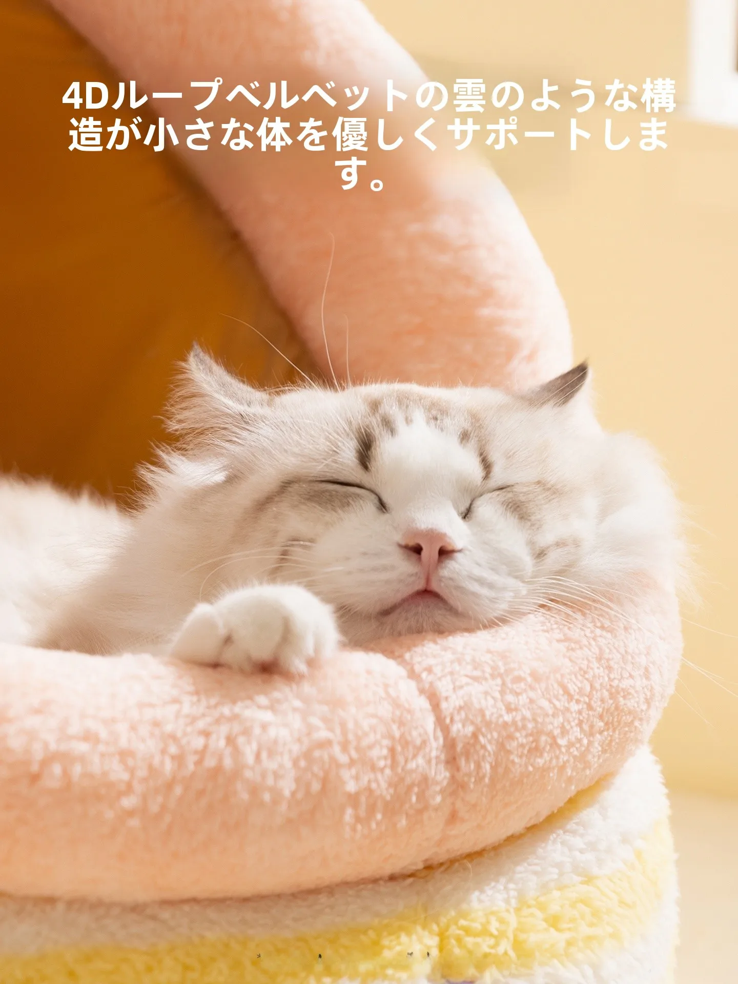 猫柵に頼る前に、冬の寒さに負けない“キャットハウス”を選ぶべき理由は？