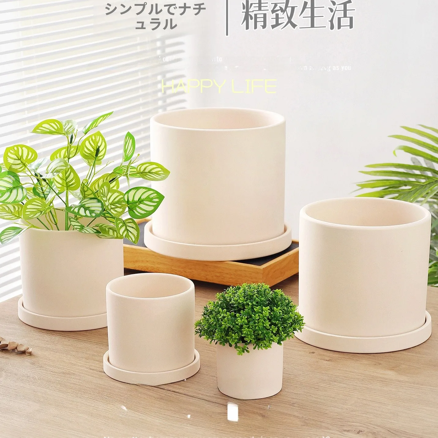 フル活用した節約生活の完全ガイド｜多肉植物・収納・ファンの使い方