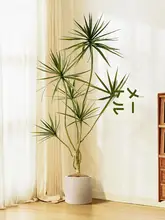 高級感ある人工緑化植物 ドラセナ【インテリア装飾・リビング用】