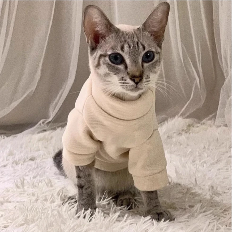 猫用秋冬ペットウェア【透気性・防毛・保温】：冬の寒さに強い日常着の選び方