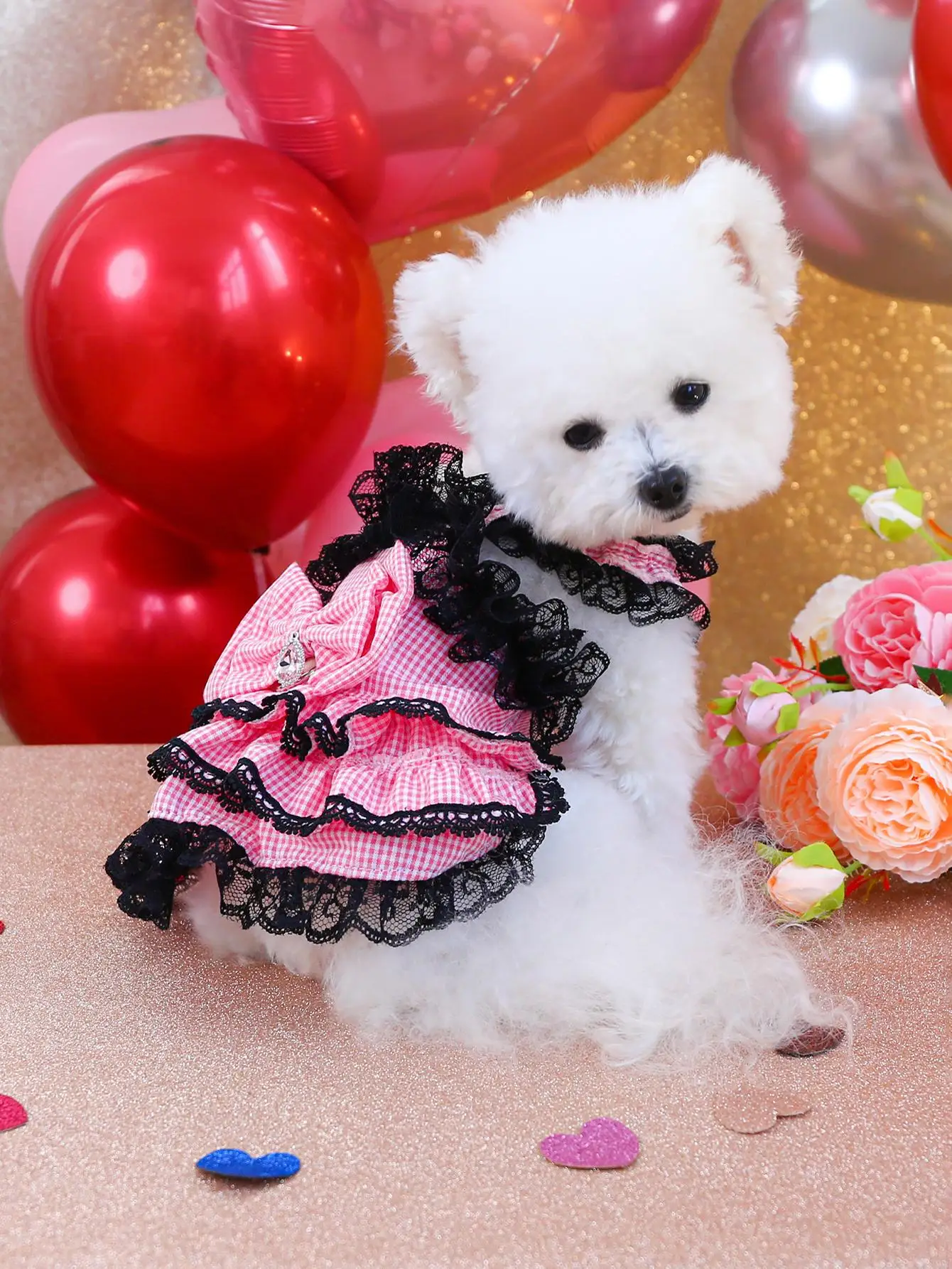 チワワの春先に着せるべきドレスは、本当にこれ？