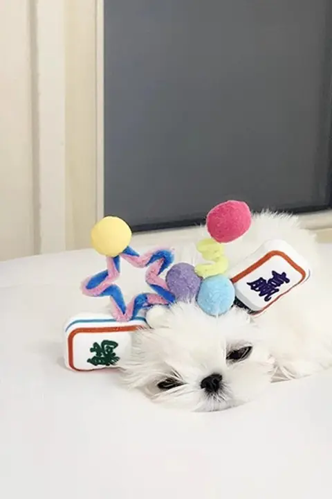 手作りミニペットヘアクリップ【かわいい立体デザイン・マルチーズ・テディベア用】