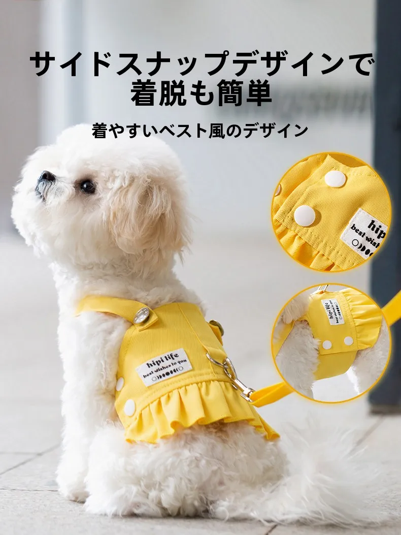 小型犬の散歩リードに何が大切？可愛さと安全のバランスを取るベストな選択とは？
