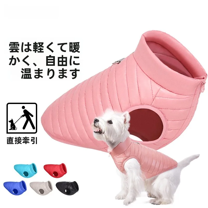 猫飼いが買ってよかったもの・悪かったもの正直に言う！本当に必要なアイテムは？