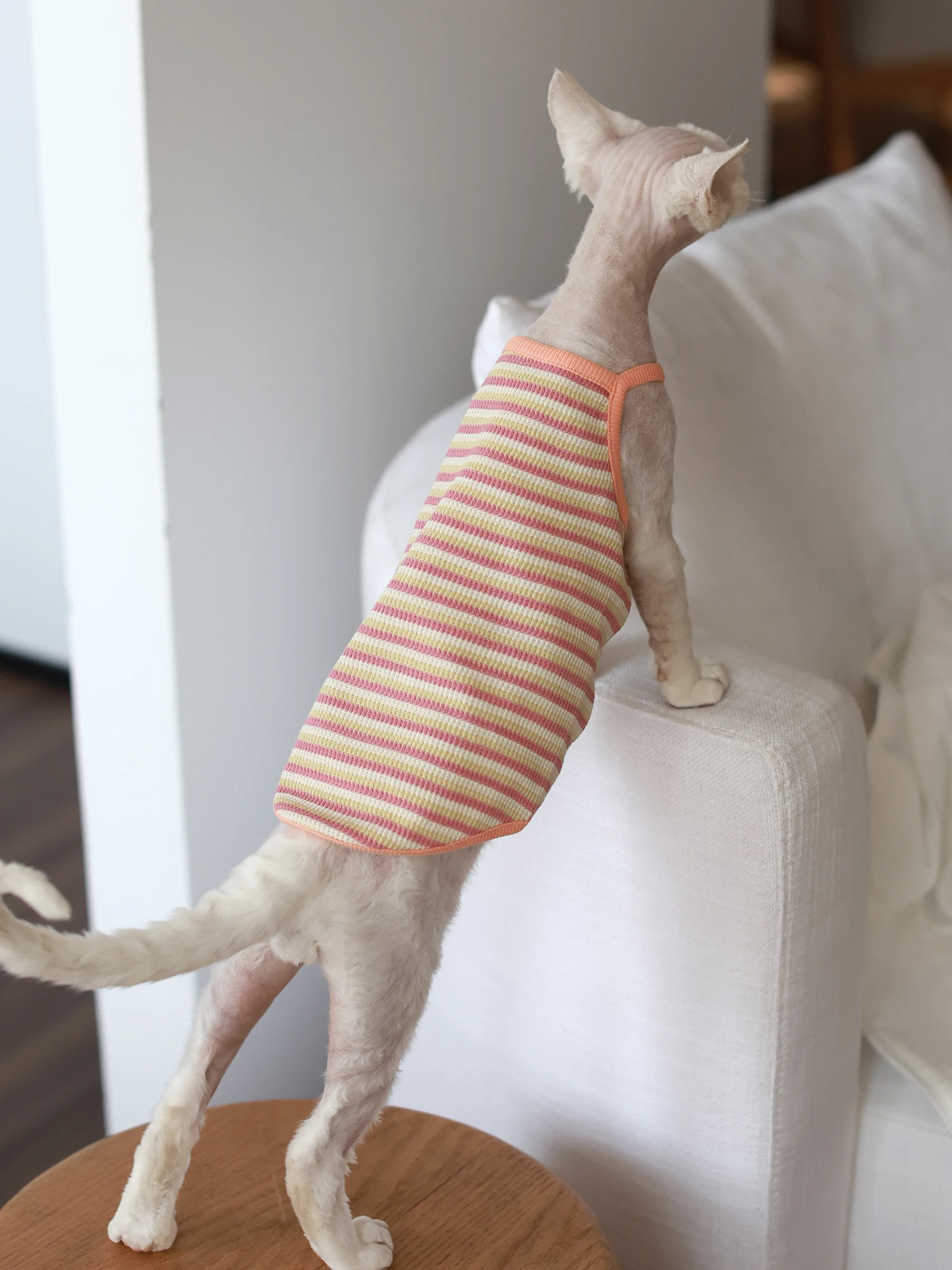 猫飼いが買ってよかったもの・悪かったもの正直に言う｜夏の涼しさを実感する吊りストラップの徹底解説