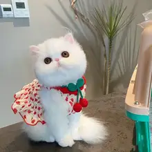 犬用夏用キャミソールワンピース【通気性のある薄手・プリンセススタイル・テディベア対応】