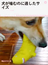 犬 おもちゃ バナナ型 ラテックス製 鳴る 噛みごたえ 歯みがき 小型犬 中型犬 大型犬 「QMONSTER」
