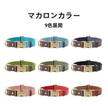 ペット用首輪【刻印可能・小型犬・中型犬用・防迷子設計・リード付き】