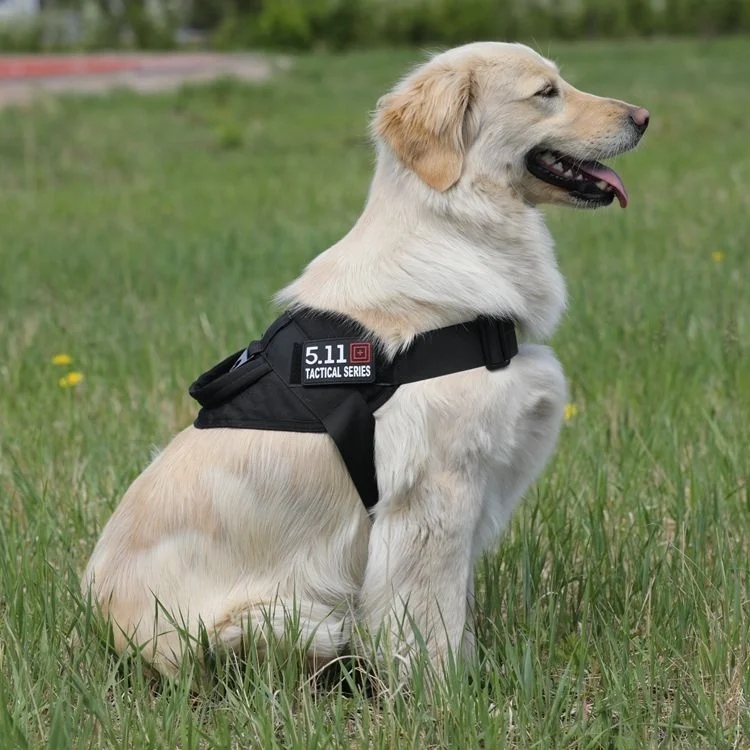 犬のお散歩グッズをコスパ良く揃える方法 - K9タイプトレーニングハーネスの定義と特性