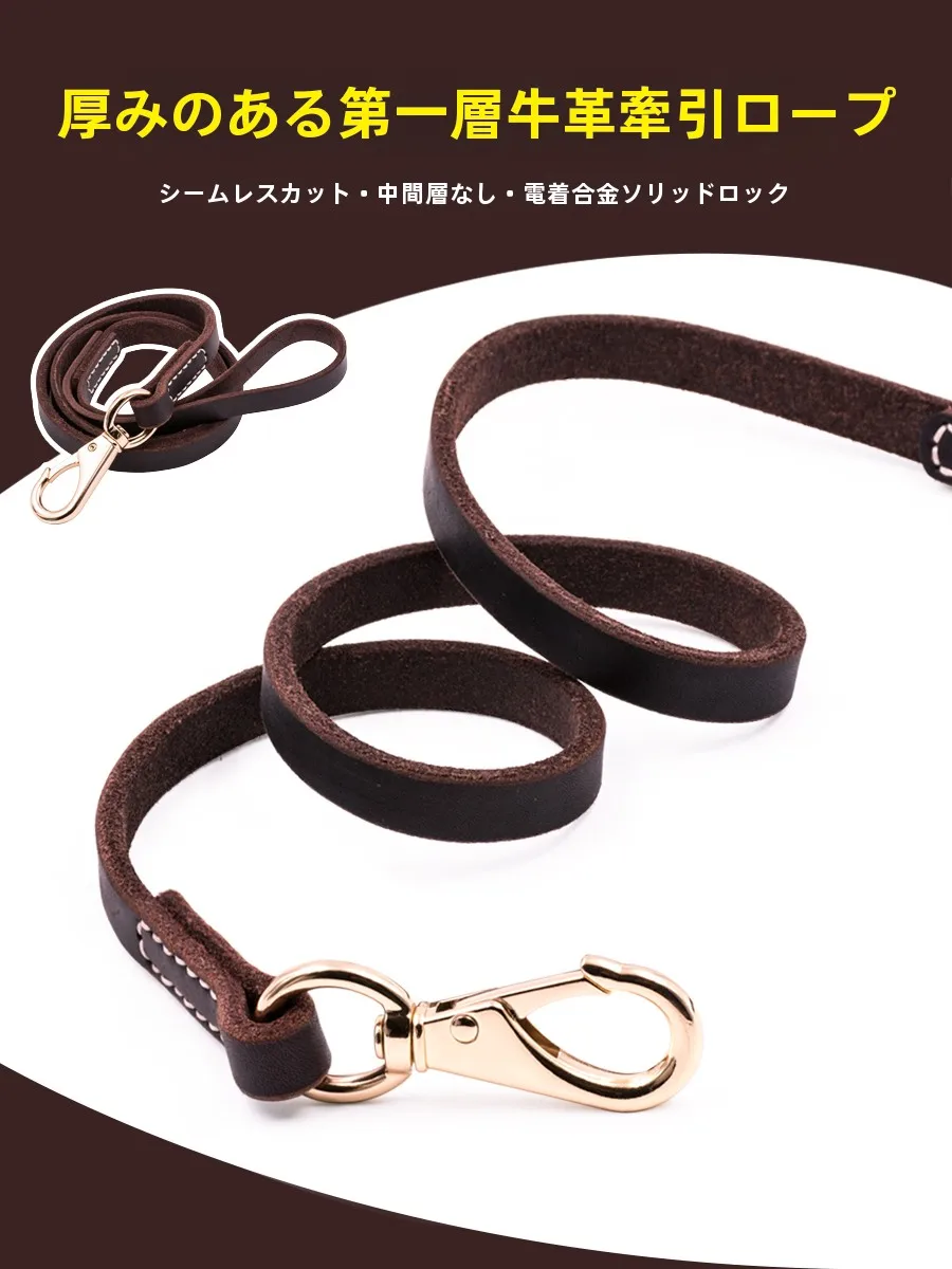犬のお散歩グッズをコスパ良く揃える方法｜牛革リードの選び方と実践ガイド