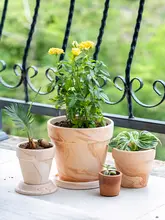赤陶製 幅広の観葉植物用プランター【吸水・通気性・受け皿付き】