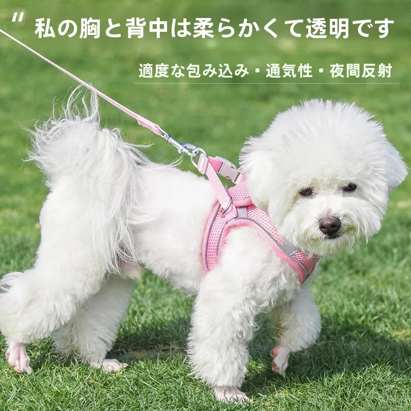 犬のお散歩グッズをコスパ良く揃える方法　安全と快適を両立する選び方の完全ガイド