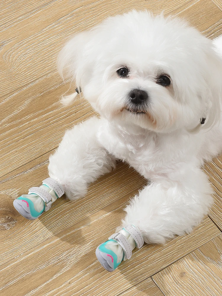 犬のお散歩グッズをコスパ良く揃える方法　完全ガイド：防水靴の実用性と選び方