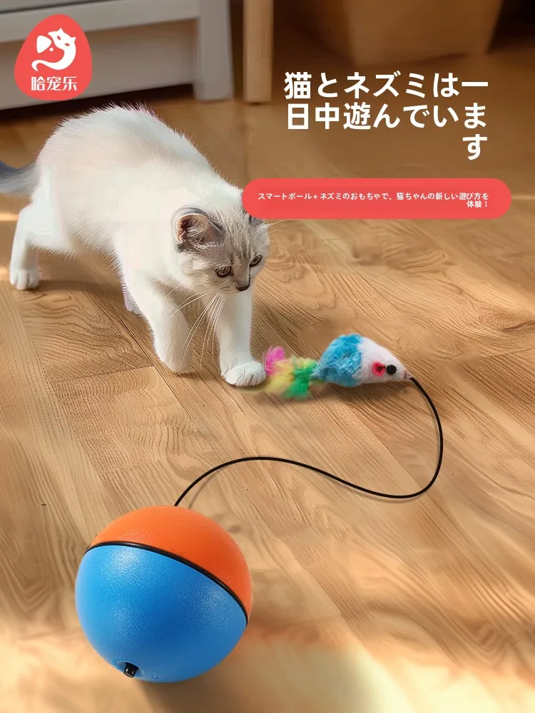 虫下し猫の取り入れ方は？5選で暮らしに溶け込むリアルな使い方を解説