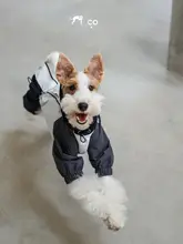 犬用 レインコート【防水・防風・軽量・四足用】
