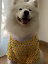 犬用肘保護服【サモエド・ラブラドール向け・防汚・外出用】