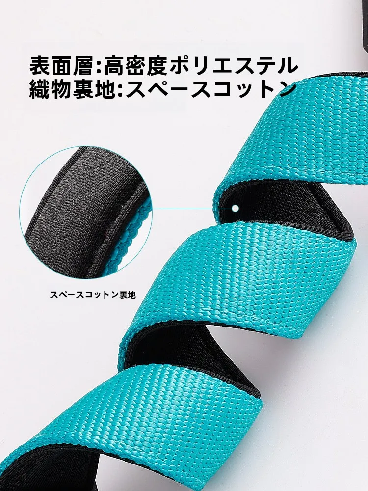犬のお散歩グッズをコスパ良く揃える方法　完全ガイド