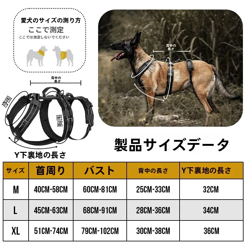 犬のお散歩グッズをコスパ良く揃える方法｜反射材付きハーネスで安全と実用を両立