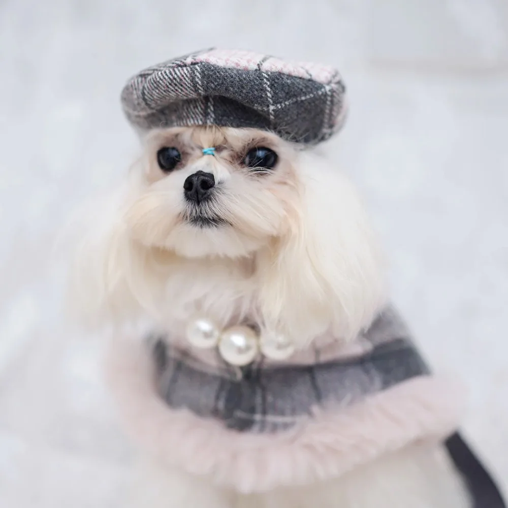 犬のカッパとは何か：ペットとしての特性と実際の使い方