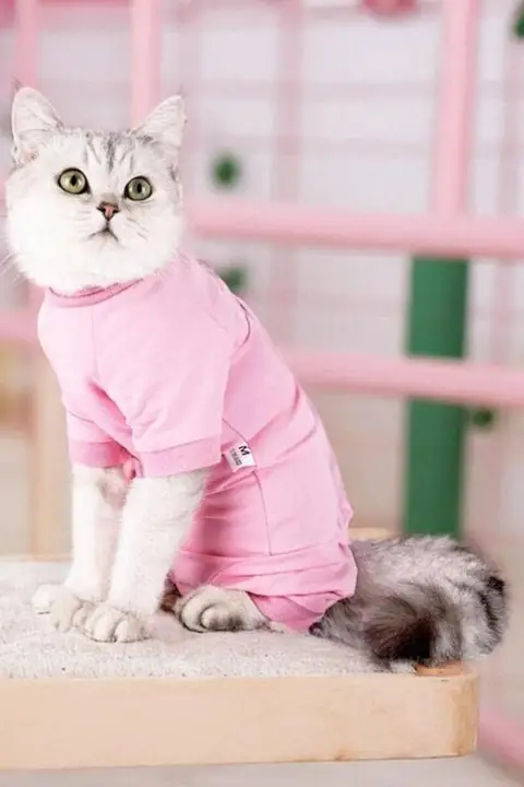 猫用術後服【防止舐め・毛の抜け落ち防止・四脚デザイン】