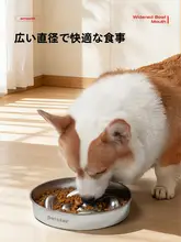 大容量 ステンレス製 ペット用スローフードボウル【猫と犬用・安定設計】