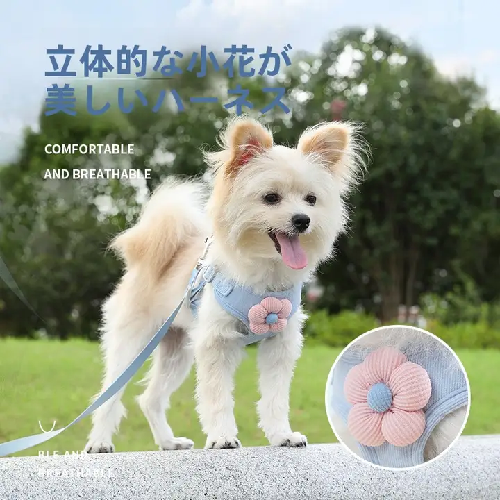 犬用胸部ハーネスとリード【カートゥーンデザイン・防脱出・お出かけ用】