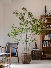 高級感あるリアルな緑の吊り植物【インテリア用・マズイキ・落地型】
（セットアップ対応）