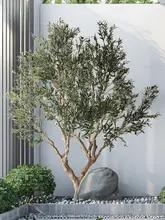 オリーブ 造木 鉢植え 北欧風 大型 組み立て式 グリーン 屋内 店舗 ショーウィンドウ インテリア