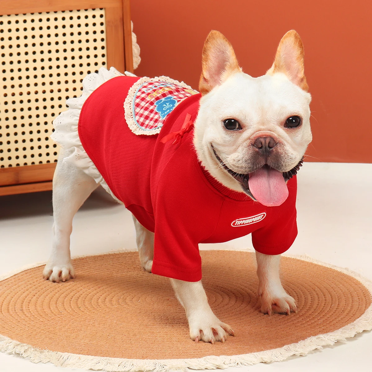 パグに合う服は、本当に選び方で決まる？