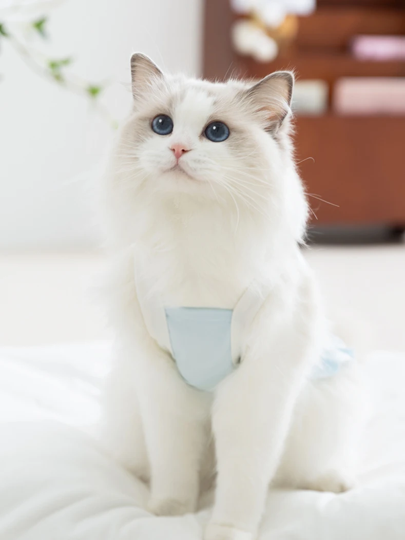 猫飼いが買ってよかったもの・悪かったもの正直に言う | 夏用薄手猫犬ペットラグドールクール服の通気性とサイズ選定