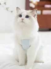 夏用薄手猫犬ペットラグドールクール服
