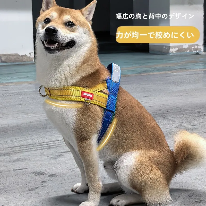 中小型犬用リード【柴犬・ビションフリーゼ対応・脱走防止】の実用性と選び方